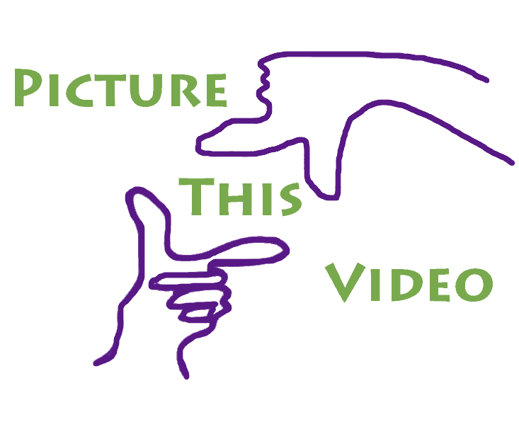 Picture This Video logo